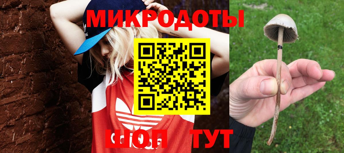Галлюциногенные грибы MAGIC MUSHROOMS Домодедово